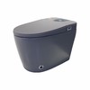 2212E智能马桶-灰色 商品缩略图4