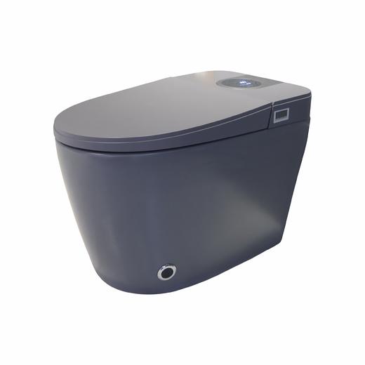 2212E智能马桶-灰色 商品图4