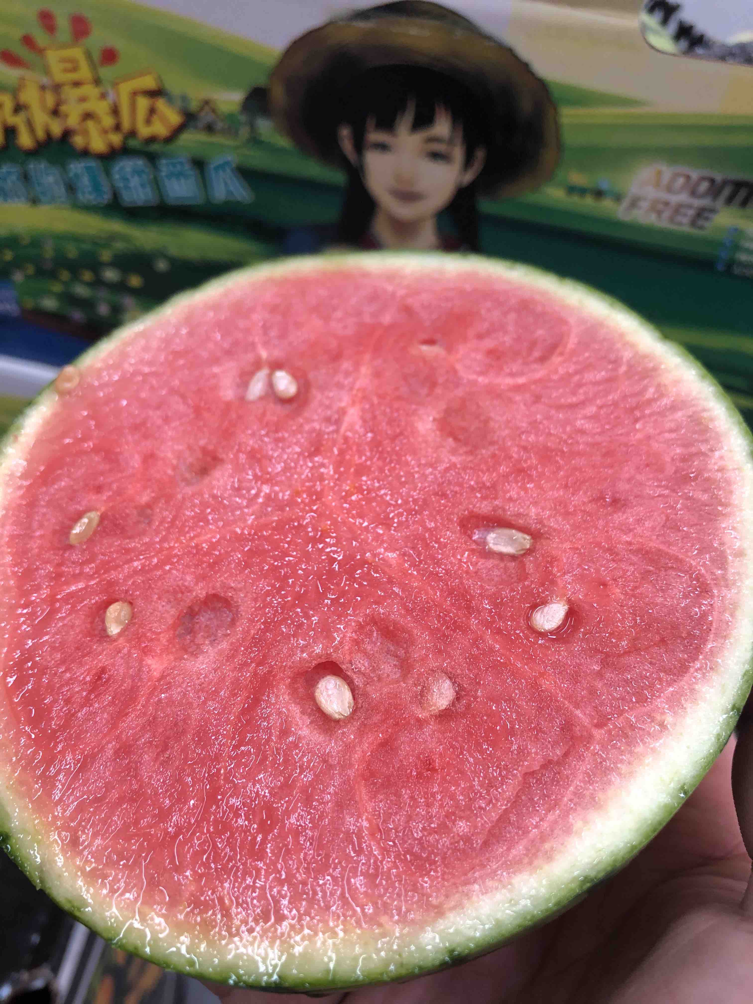 爆甜的糖丸西瓜,甜度报表,肉质脆嫩的迷你麒麟瓜,一人一只 毫无压力