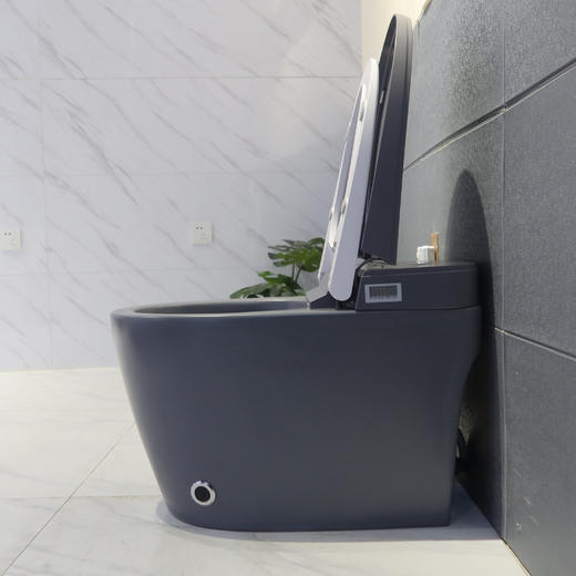 2212E智能马桶-灰色 商品图3