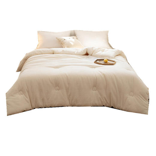 日式裸睡无印A类原棉大豆纤维夏凉被春秋被良品纯棉加厚冬被 商品图4