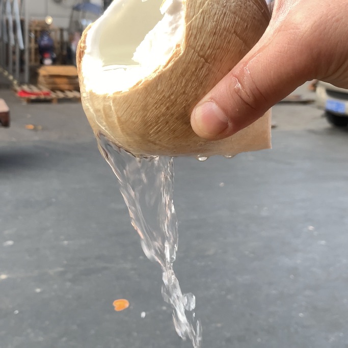 越南奶香椰皇32# 中果7.8/个）