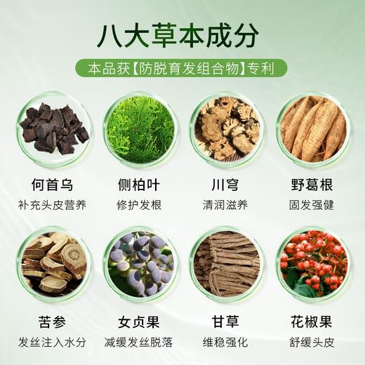 索芙特防脱发育发香波【密绿瓶】 商品图2