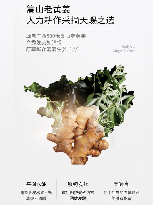 【明星同款】bodyaid博滴琴叶生姜洗发水防脱发博迪金星推荐--W仓 商品图2