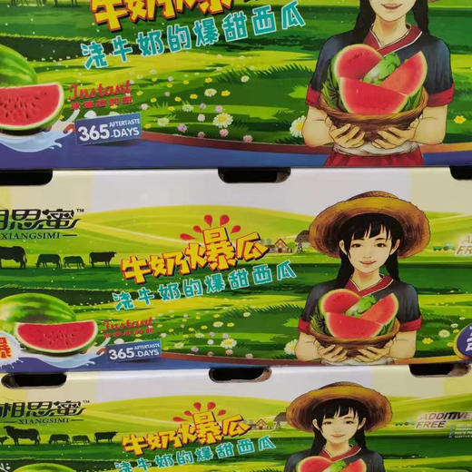 爆甜手撕小糖丸西瓜，甜度报表，肉质脆嫩的迷你麒麟瓜，一人一只 毫无压力，超好吃的西瓜🍉 商品图8
