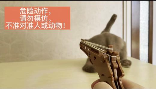 平衡力学 商品图2