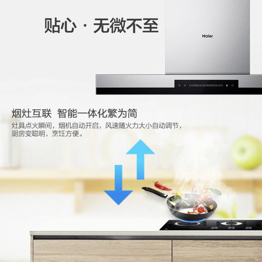 海尔（Haier）烟机 CXW-219-T895U1 商品图9
