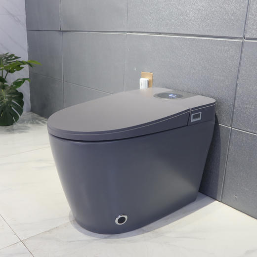 2212E智能马桶-灰色 商品图1