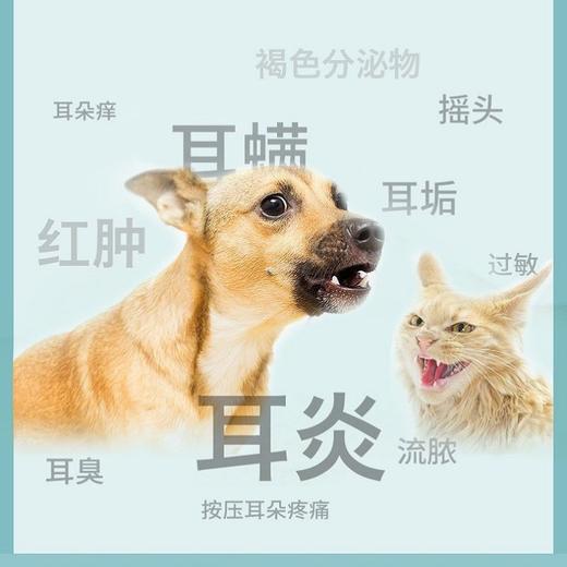 维克耳可舒滴耳液10ml 宠物滴耳液耳螨耳炎猫咪狗狗用耳朵清洁用品 商品图3