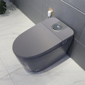 2212E智能马桶-灰色
