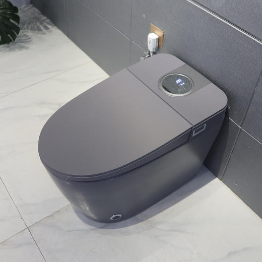 2212E智能马桶-灰色 商品图0