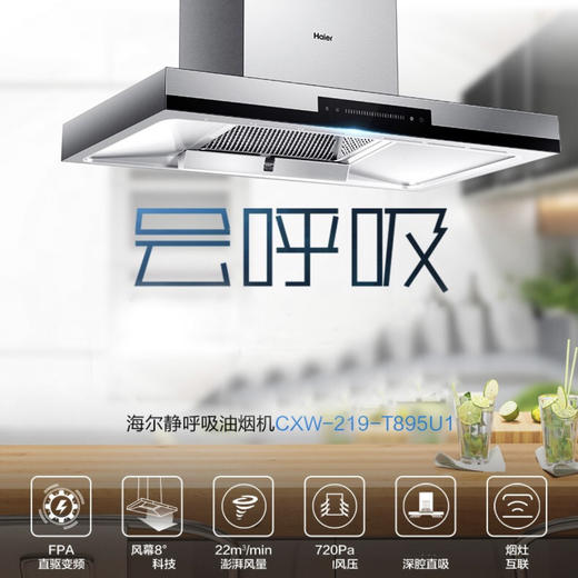 海尔（Haier）烟机 CXW-219-T895U1 商品图0