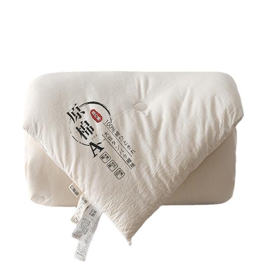 纯棉原棉大豆纤维被全棉春秋被芯加厚冬被学生宿舍被子 商品图4