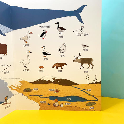 我的第一本动物图画书 对裱纸板书 3001106 商品图6