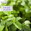 新鲜蒸馏的薄荷纯露调理皮肤水油 舒敏 修护痘痘粉刺 商品缩略图4