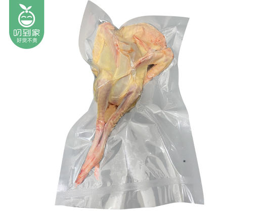 安溪谷物饲养50天中鸽（350g±50g/只） 商品图3
