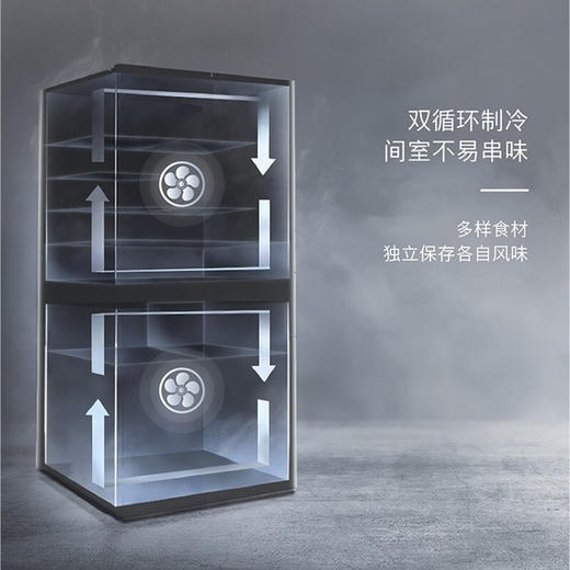 博世(Bosch) 562升一级能效多门美妆冰箱双压缩机制冷零度维他保鲜清新净风KFN96PA56C 商品图3