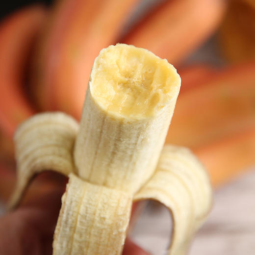 云南西双版纳红美人香蕉  自然熟 当季新鲜现摘  软甜嫩滑香甜果形细长外表红润色泽艳丽入口即化 口留余香 商品图2