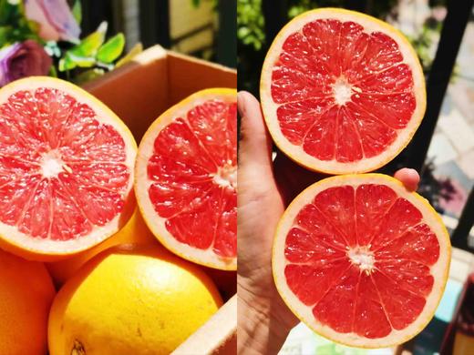 杨枝甘露口味杯子蛋糕，芒果西柚的完美碰撞，椰浆与奶油的灵魂互动 商品图6