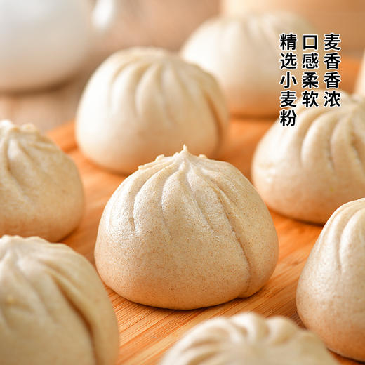【买赠】纯素包子 老坛酸菜 红豆松子烧麦 荠菜香菇 五香菌菇 叉烧包  五点素 商品图2