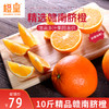 顺丰快递  橙皇（经典款）赣南脐橙带箱 10斤 精品中果 家庭实惠款（22-25个） 商品缩略图0