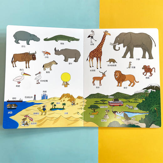 我的第一本动物图画书 对裱纸板书 3001106 商品图4