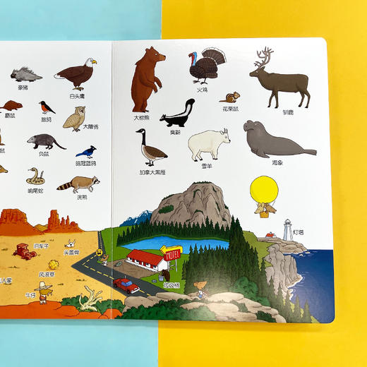 我的第一本动物图画书 对裱纸板书 3001106 商品图5