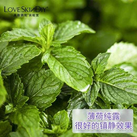 新鲜蒸馏的薄荷纯露调理皮肤水油 舒敏 修护痘痘粉刺 商品图2