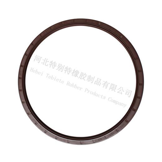 特别特北方奔驰平衡轴油封170*190*8.5北奔平衡轴油封170x190x8.5（1701908.5） 商品图0