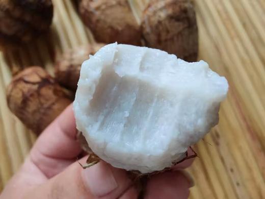 山东奶油精品芋头净重5斤  全国包邮 商品图5