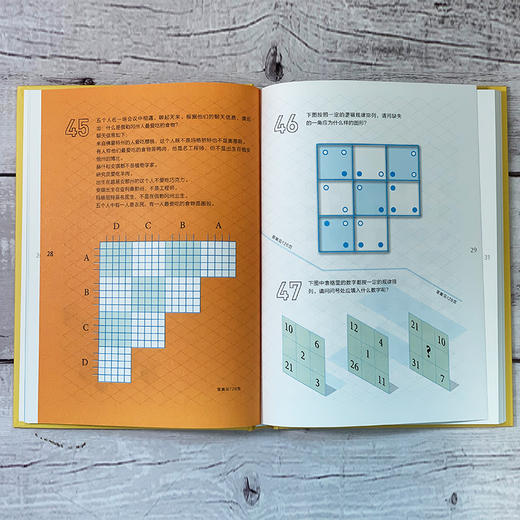 门萨逻辑能力大挑战 门萨智力大师系列 商品图3