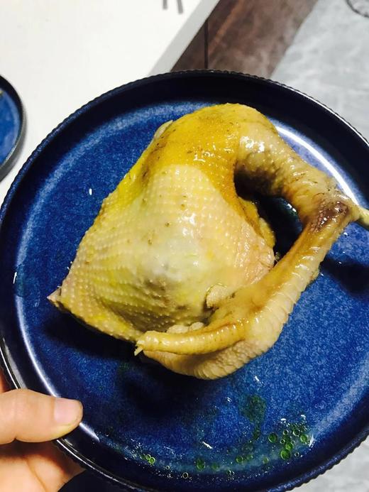 农家鸡母鸡、童子鸡 商品图0