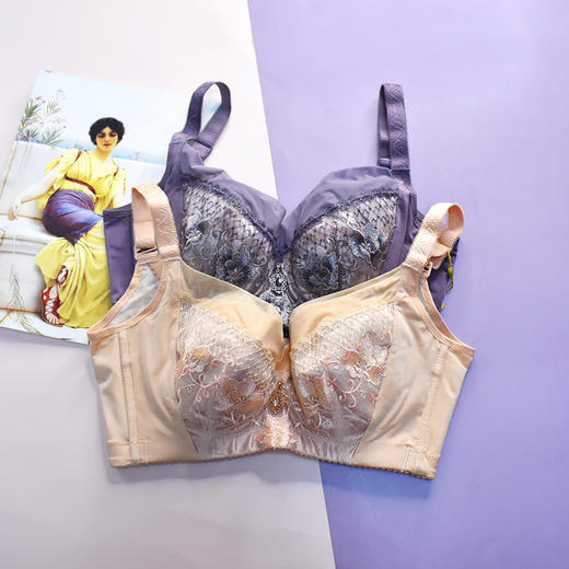 【秒杀品不退不换】皇家丽美薄杯大胸显小软钢圈收副乳文胸WJ1677-1 商品图0