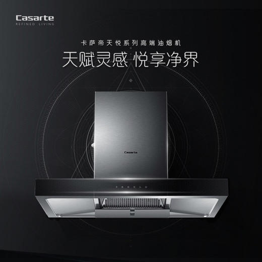 卡萨帝（Casarte）烟机CXW-200-CT17EG 商品图0