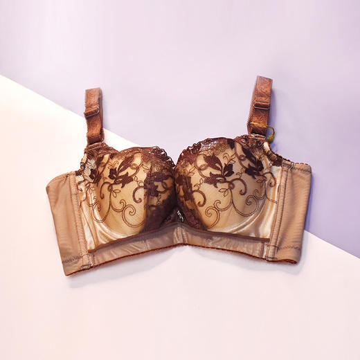 【99元2件，下单拍2！】皇家丽美中厚杯小胸显大记忆钛圈聚拢调整型文胸WJ1F1366-2 商品图2