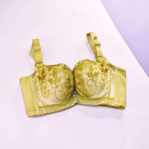 【99元2件，下单拍2！】皇家丽美中厚杯小胸显大记忆钛圈聚拢调整型文胸WJ1F1366-2 商品图1