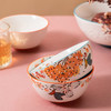 JOYYE卓艺套2花园饭碗TFB0119245单个5英寸汤碗大号ins风陶瓷碗家用甜品碗礼盒套装 商品缩略图4