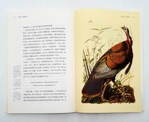《博物图鉴》6册，定价434，售价118 商品图5