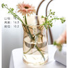 ins网红办公室花瓶北欧创意大口矮胖宽口向日葵花瓶水养玻璃透明 商品缩略图3
