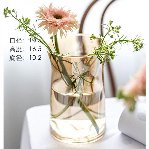 ins网红办公室花瓶北欧创意大口矮胖宽口向日葵花瓶水养玻璃透明 商品图3