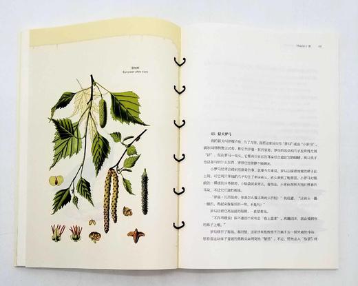 《博物图鉴》6册，定价434，售价118 商品图12