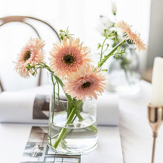 ins网红办公室花瓶北欧创意大口矮胖宽口向日葵花瓶水养玻璃透明 商品图2