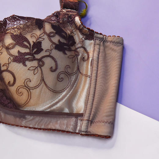 【99元2件，下单拍2！】皇家丽美中厚杯小胸显大记忆钛圈聚拢调整型文胸WJ1F1366-2 商品图4