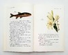 《博物图鉴》6册，定价434，售价118 商品缩略图6