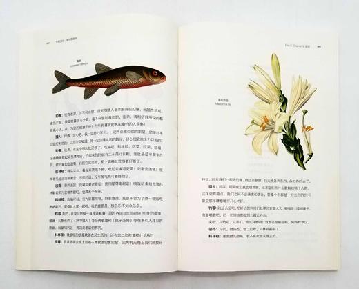 《博物图鉴》6册，定价434，售价118 商品图6