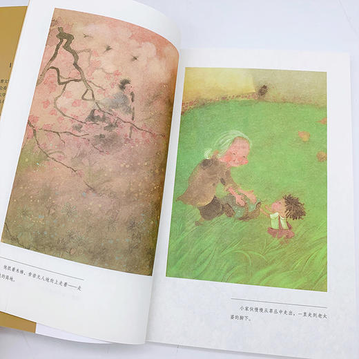 芦花鞋曹文轩精品文集 小学四年级课外必读书老师推荐经典中短篇小说作品精选集正版4五六儿童文学读物下册人教版语文同步阅读书籍 商品图3