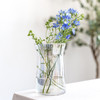 ins网红办公室花瓶北欧创意大口矮胖宽口向日葵花瓶水养玻璃透明 商品缩略图0