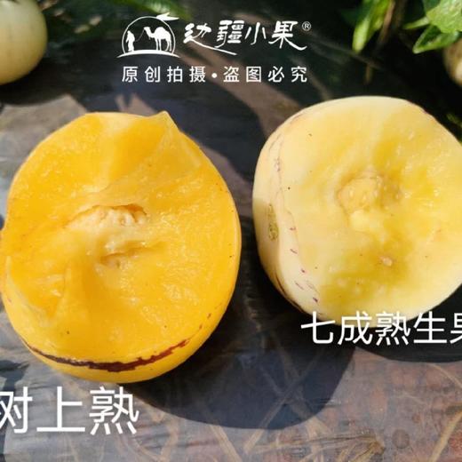 云南树上熟人参果3斤/ 4.5斤装 商品图14