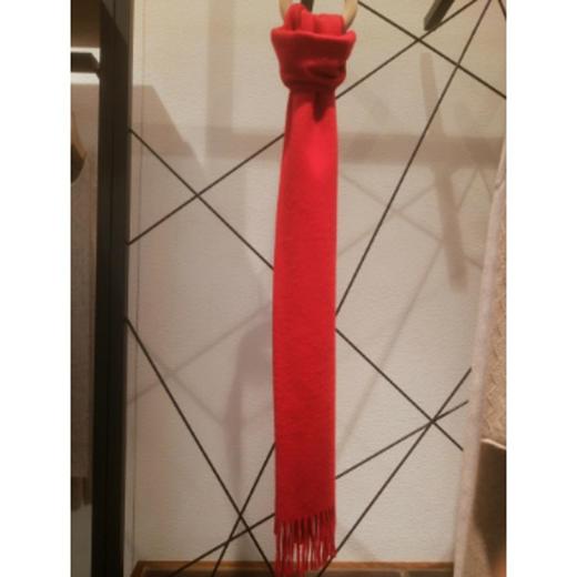 3楼 皮皮狗羊绒围巾 商品图0