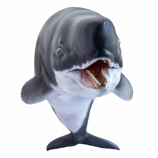 PNSO利维坦鲸雷克纳恐龙大王成长陪伴模型56 商品图4